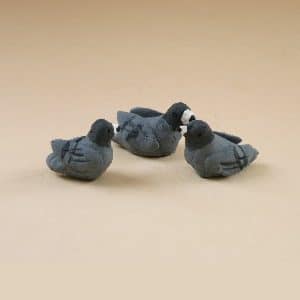 pigeon santons arlatenco